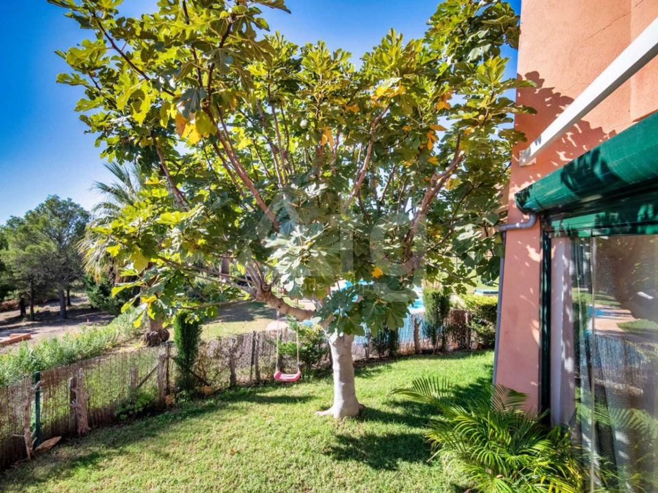 2 bedroom Apartment in Finestrat - DJP123202 - Photo - 23