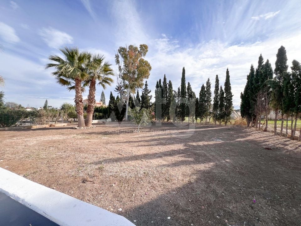 4 bedroom Villa in Dolores - SV124518 - Photo - 39