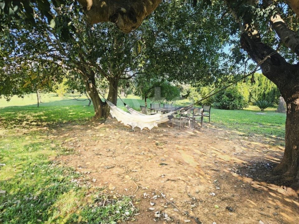 Villa   v Ondara, 5 ložnice - GNV124570 - Foto - 30
