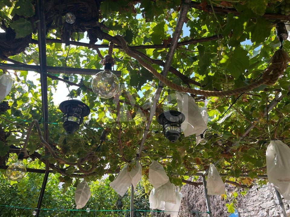 4 bedroom Townhouse in Castell de Castells - OH124613 - Photo - 30
