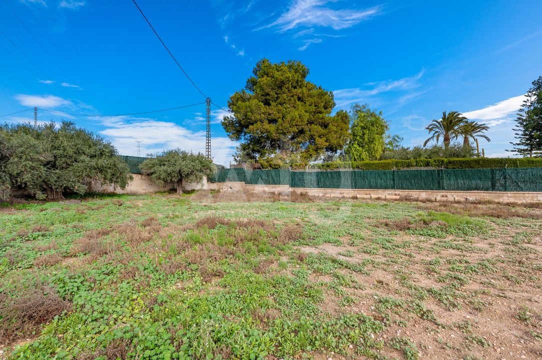 3 bedroom Villa in Elche - CBB125448 - Photo - 36
