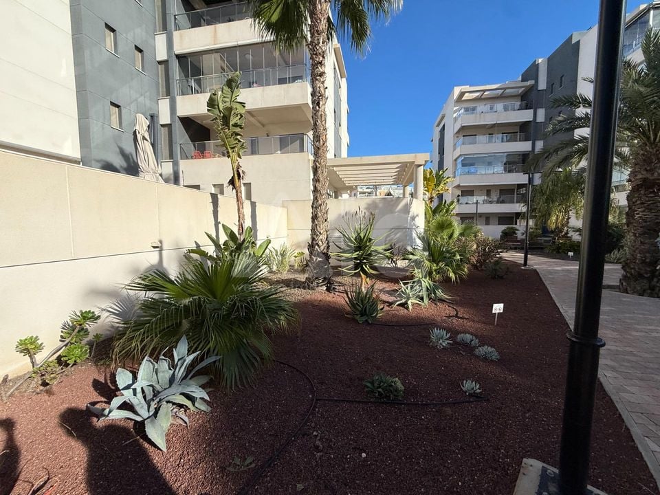 Appartement de 3 chambres à Los Dolses - GVS125644 - Photo - 19