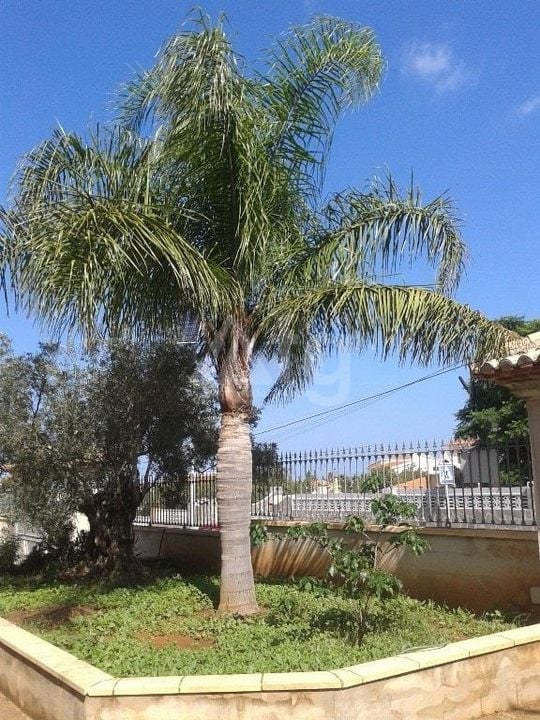 Villa de 5 chambres à Denia - RD125713 - Photo - 16