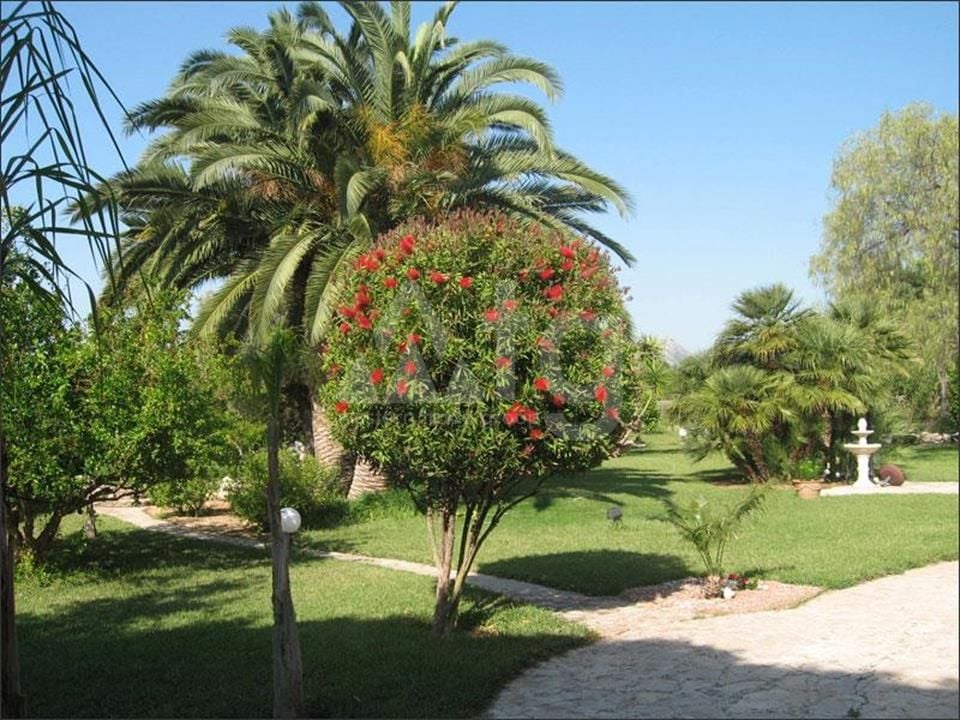 Villa de 4 chambres à Denia - RD125747 - Photo - 24
