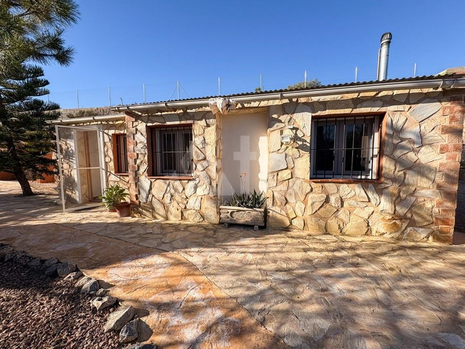 Villa de 5 chambres à Crevillente - SV127669 - Photo - 38