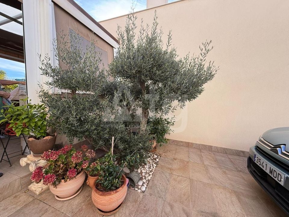 3 bedroom Villa in Los Montesinos - GET129537 - Photo - 28