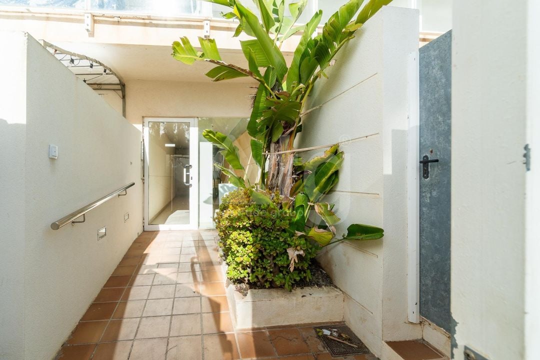 Apartmán   v Guardamar del Segura, 3 ložnice - RPF129866 - Foto - 24