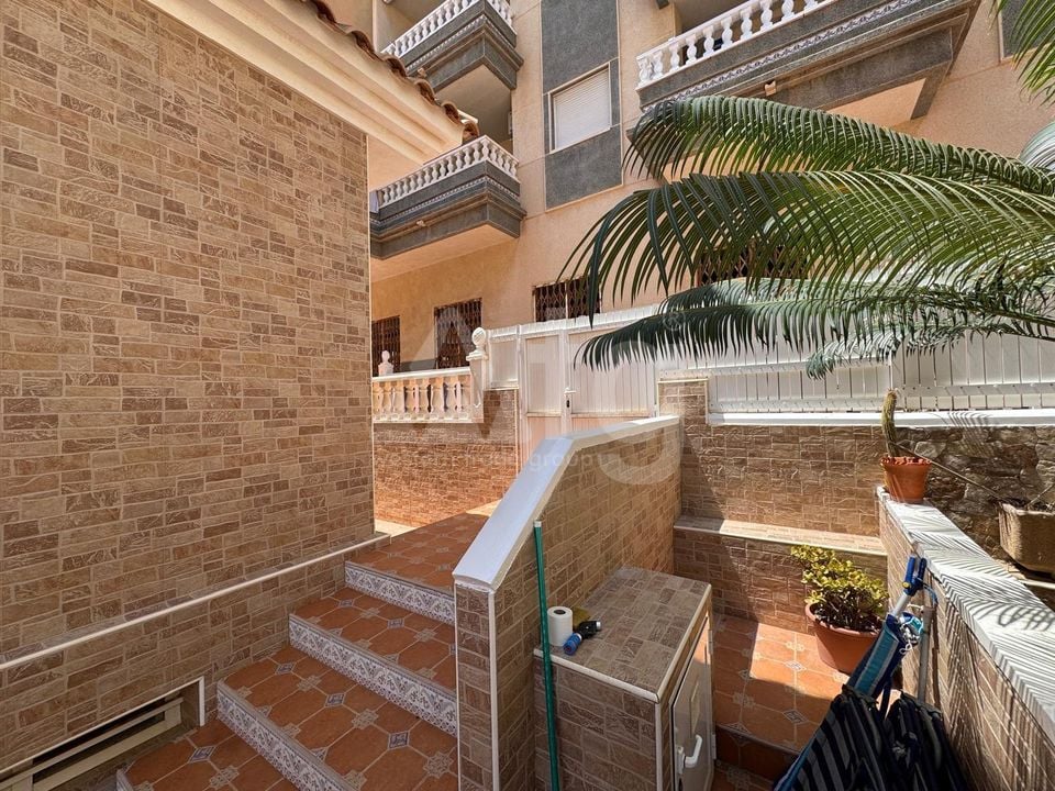 3 bedroom Villa in Guardamar del Segura - AG130128 - Photo - 25