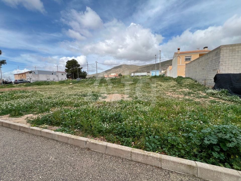  Plot in Hondón de los Frailes- CNM131429 - Photo - 1