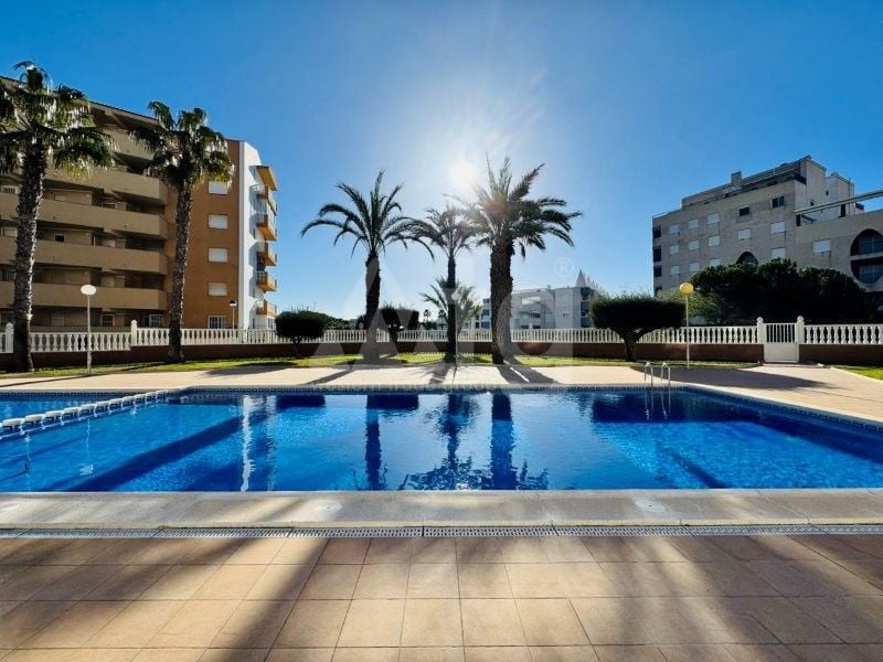 Penthouse de 3 chambres à La Mata - SMPN132047 - Photo - 28