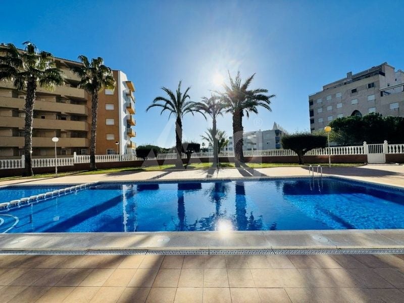 Penthouse de 3 chambres à La Mata - SMPN132047 - Photo - 2