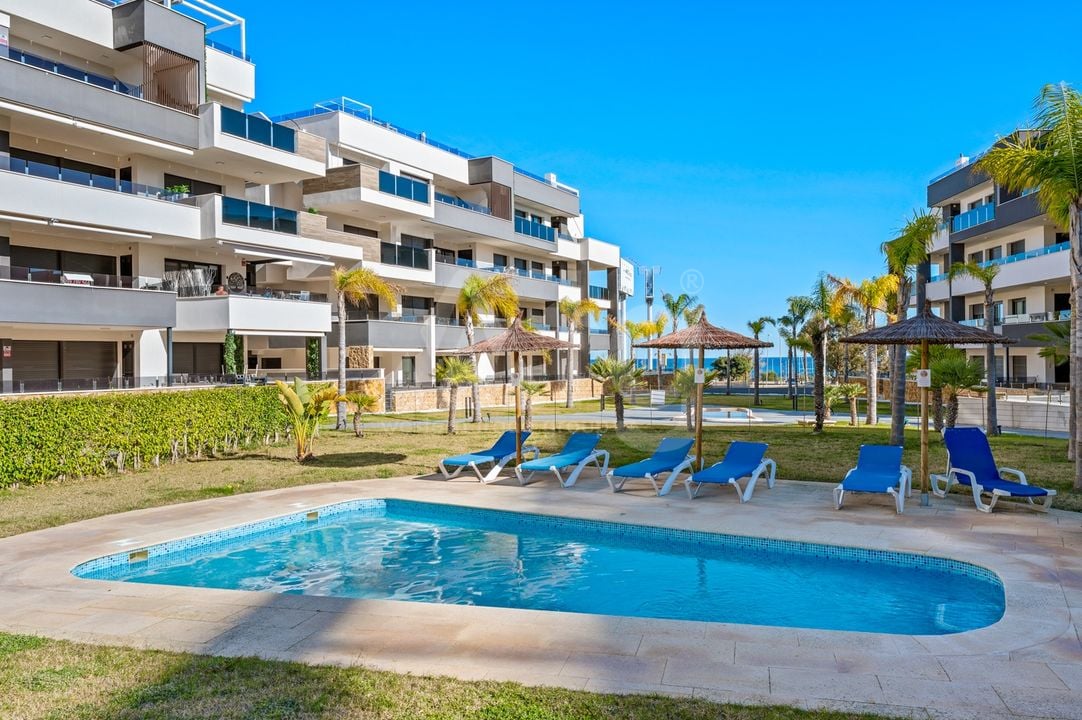 Appartement de 3 chambres à Playa Flamenca - CBB132076 - Photo - 3