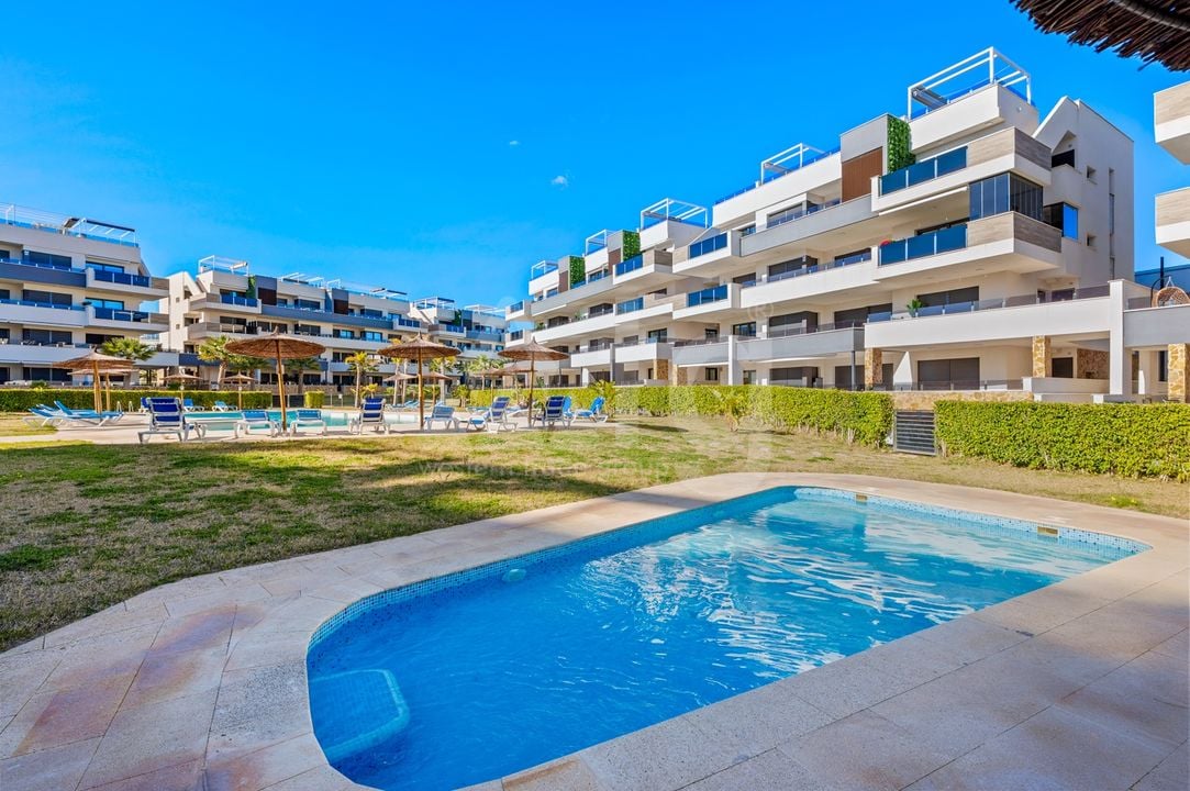 Appartement de 3 chambres à Playa Flamenca - CBB132076 - Photo - 1