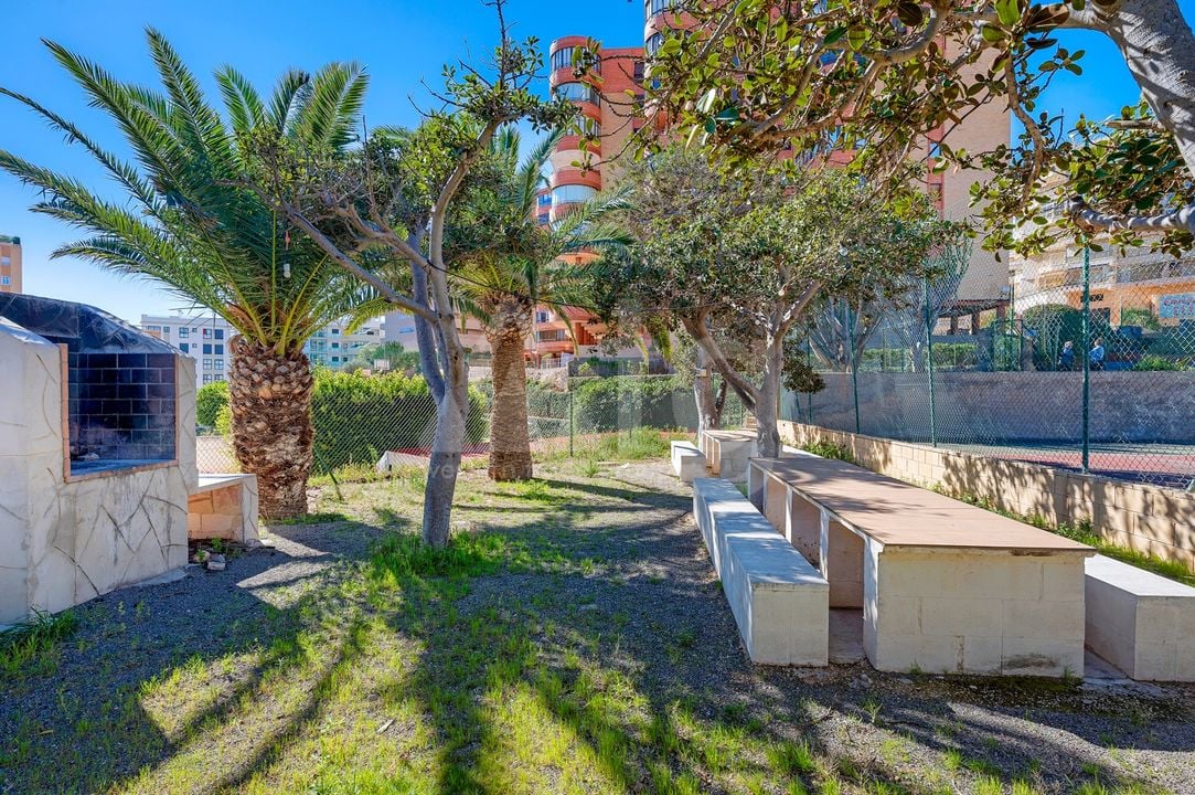 3 bedroom Apartment in Arenales del Sol - CBB132077 - Photo - 22