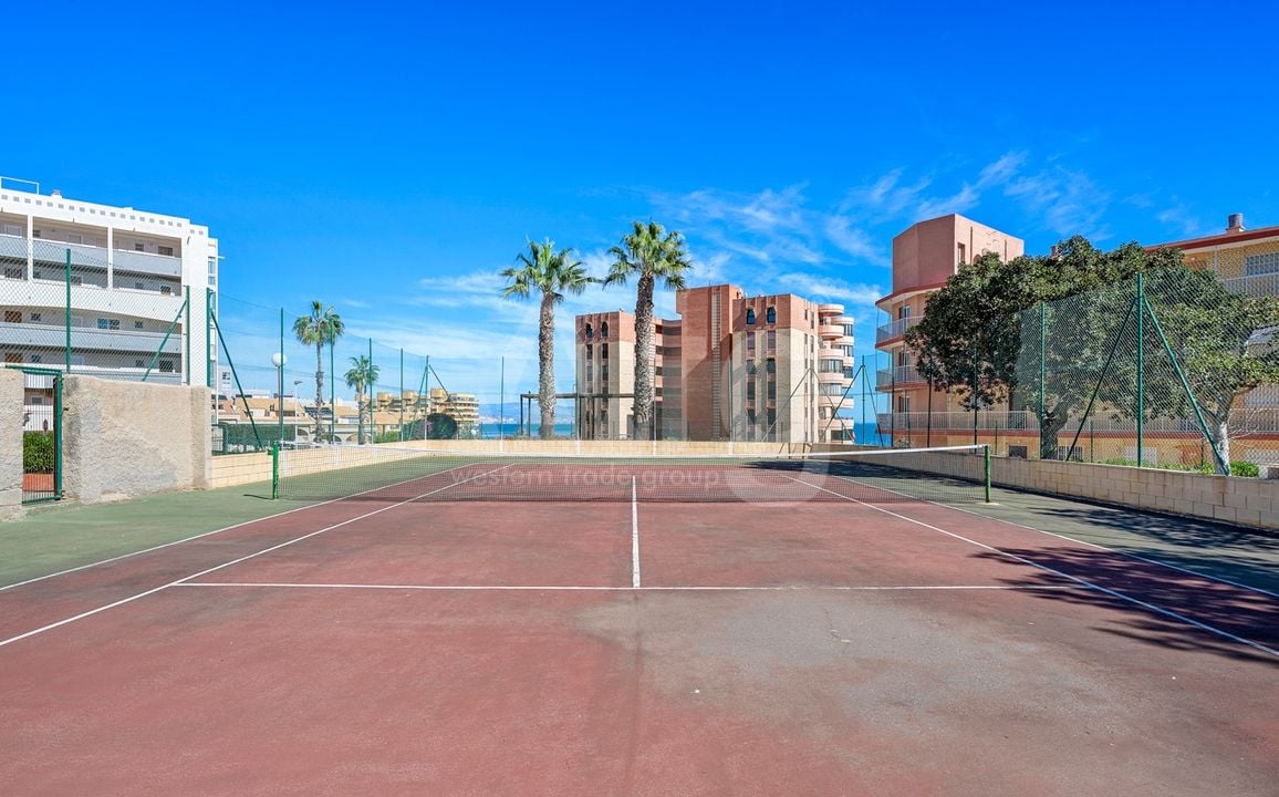 3 bedroom Apartment in Arenales del Sol - CBB132077 - Photo - 25