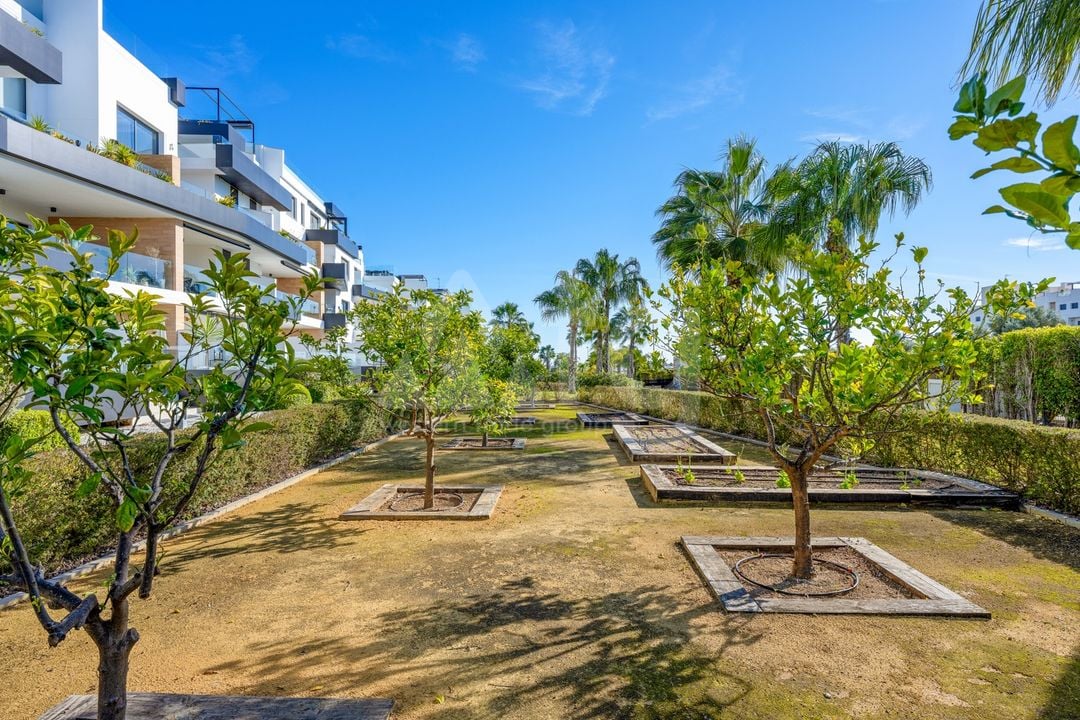 3 bedroom Penthouse in Villamartin - CBB132081 - Photo - 42