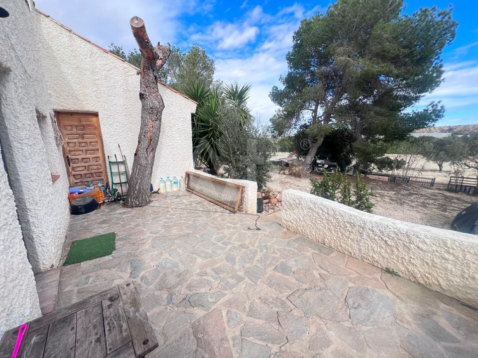 2 bedroom Villa in Torremendo - CSW132190 - Photo - 12