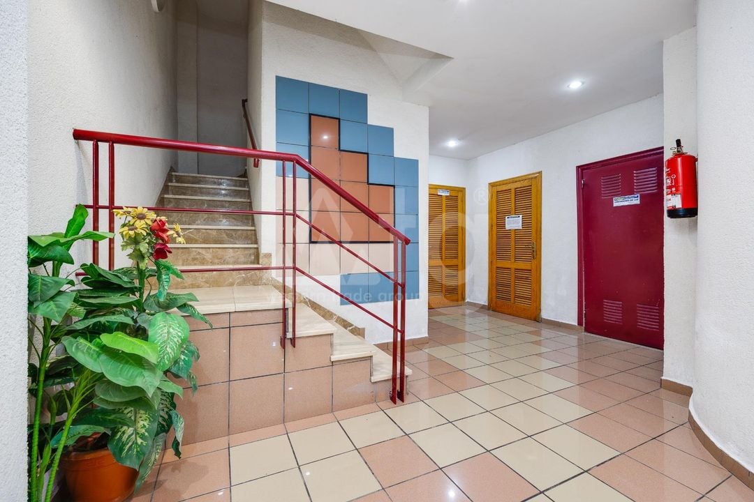 Appartement de 1 chambre à Torrevieja - CYM146978 - Photo - 14