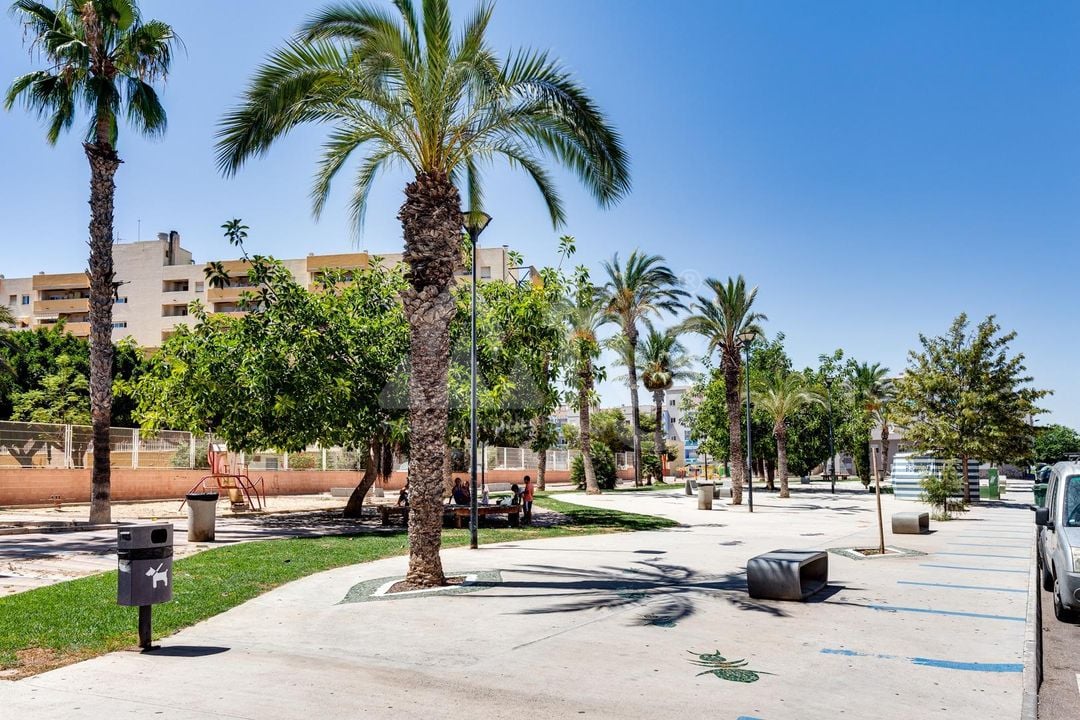 Appartement de 1 chambre à Torrevieja - CYM146978 - Photo - 22