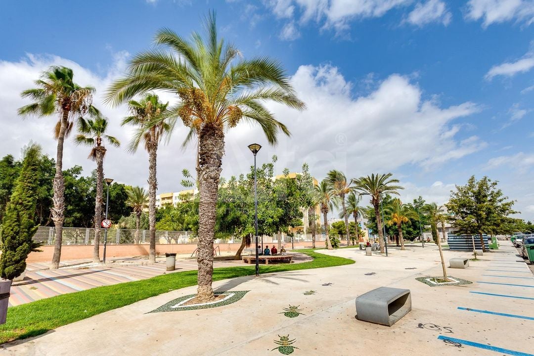 Appartement de 1 chambre à Torrevieja - CYM146978 - Photo - 23