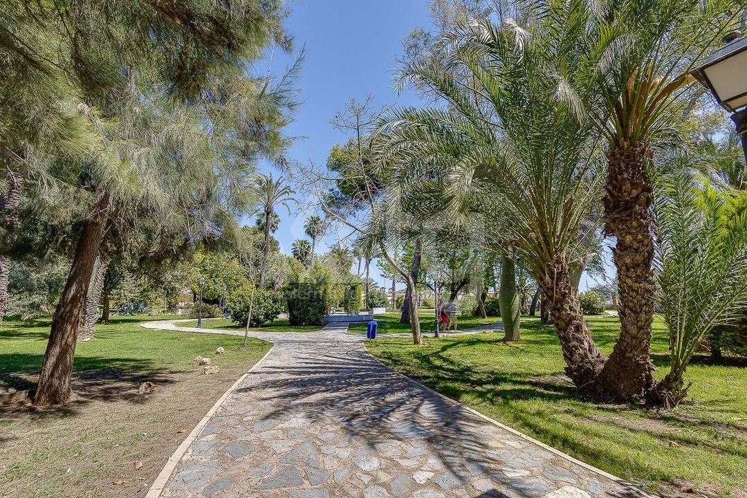 3 bedroom Apartment in Torrevieja - CYM149528 - Photo - 28