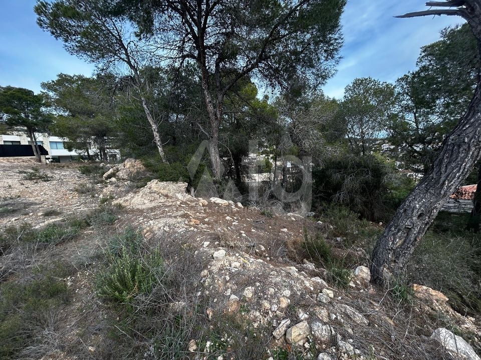 Parcela de  en Benissa- PVS132223 - Foto - 5