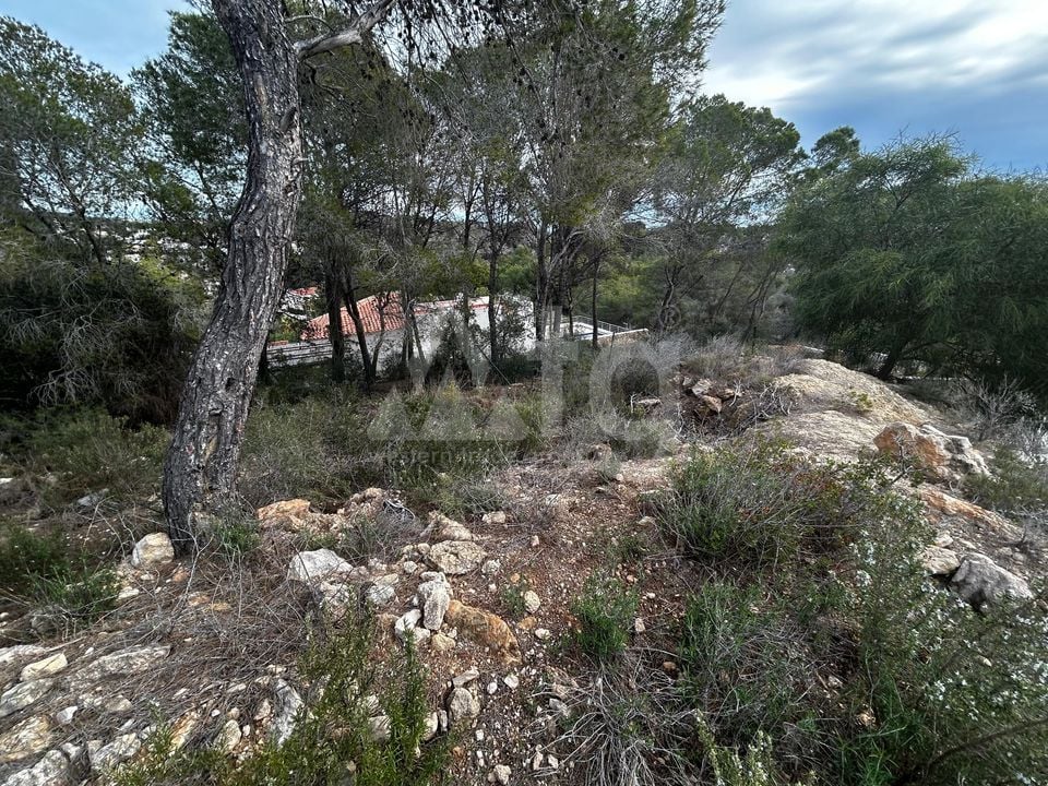 Parcela de  en Benissa- PVS132223 - Foto - 6