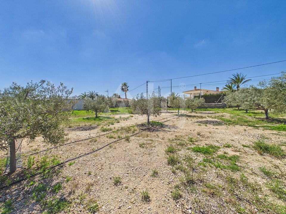 3 bedroom Villa in Albatera - OKW132452 - Photo - 33