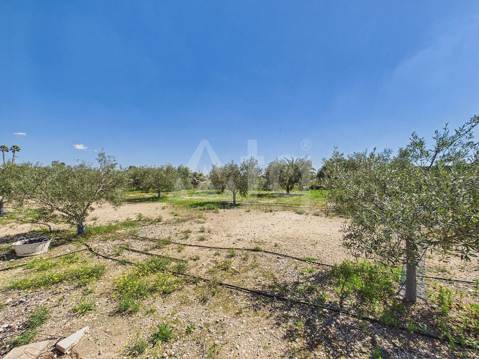 3 bedroom Villa in Albatera - OKW132452 - Photo - 34