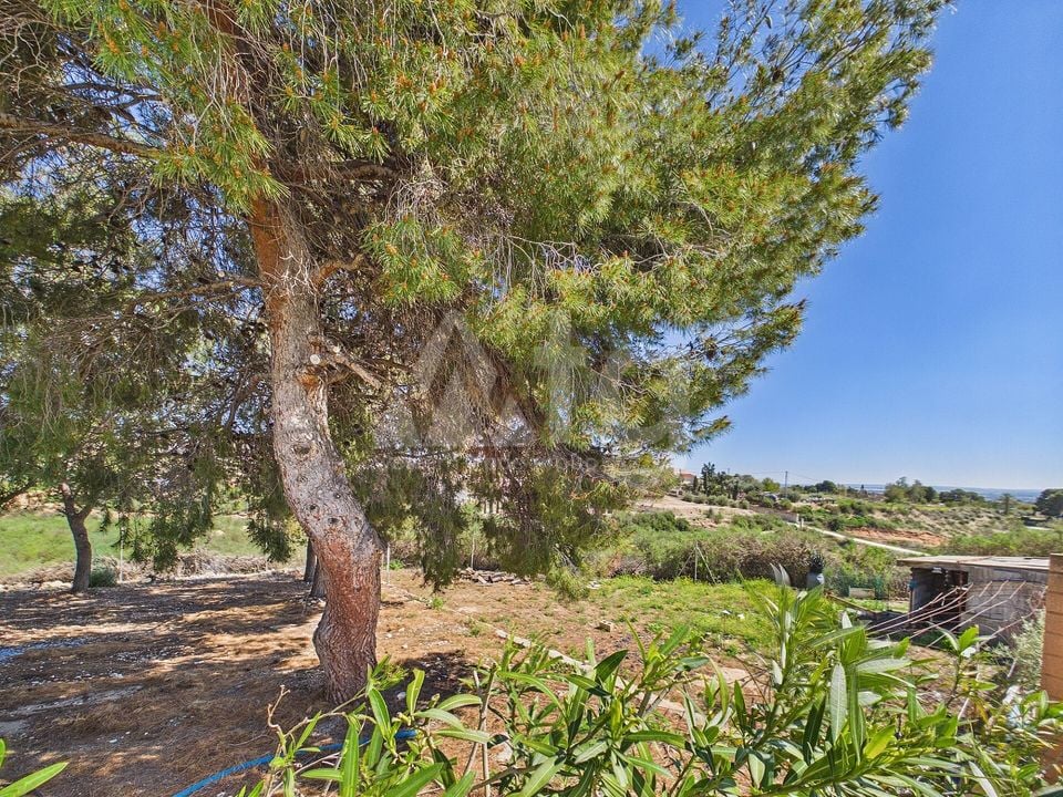 3 bedroom Villa in Albatera - OKW132452 - Photo - 35