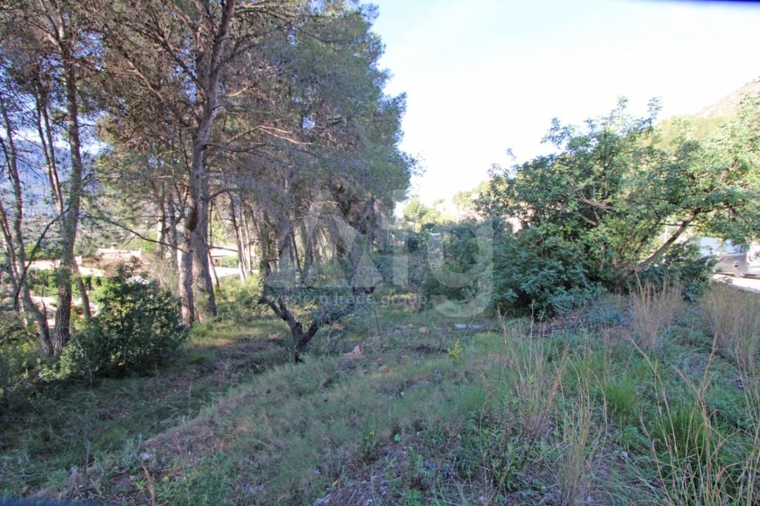 Działka w Alcalalí, - PGP132582 - Zdjęcie - 1