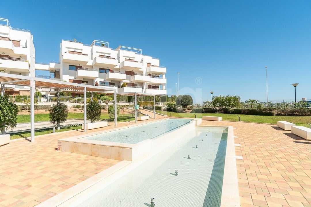 2 bedroom Apartment in Orihuela Costa - IMO160990 - Photo - 27
