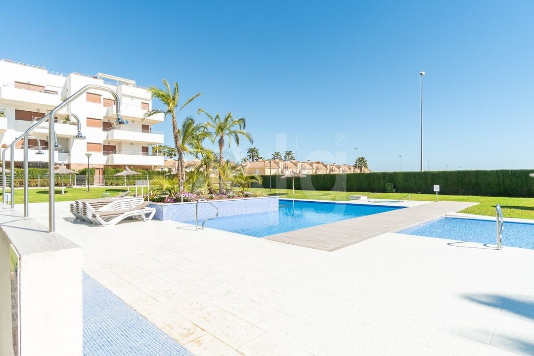 2 bedroom Apartment in Orihuela Costa - IMO160990 - Photo - 29