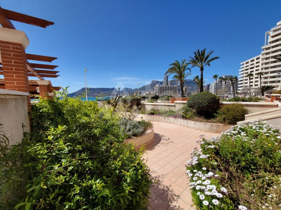 Appartement de 3 chambres à Calp - VMD133591 - Photo - 31