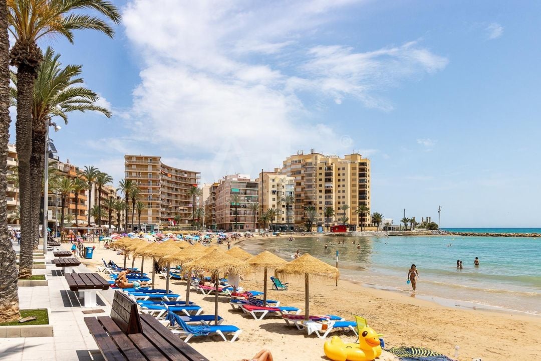 2 bedroom Apartment in Torrevieja - CYM146979 - Photo - 35