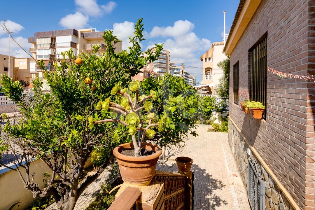 4 bedroom Villa in La Mata - CBC33519 - Photo - 37
