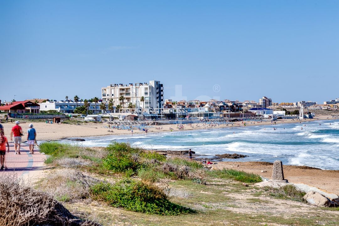 4 bedroom Villa in La Mata - CBC33519 - Photo - 47