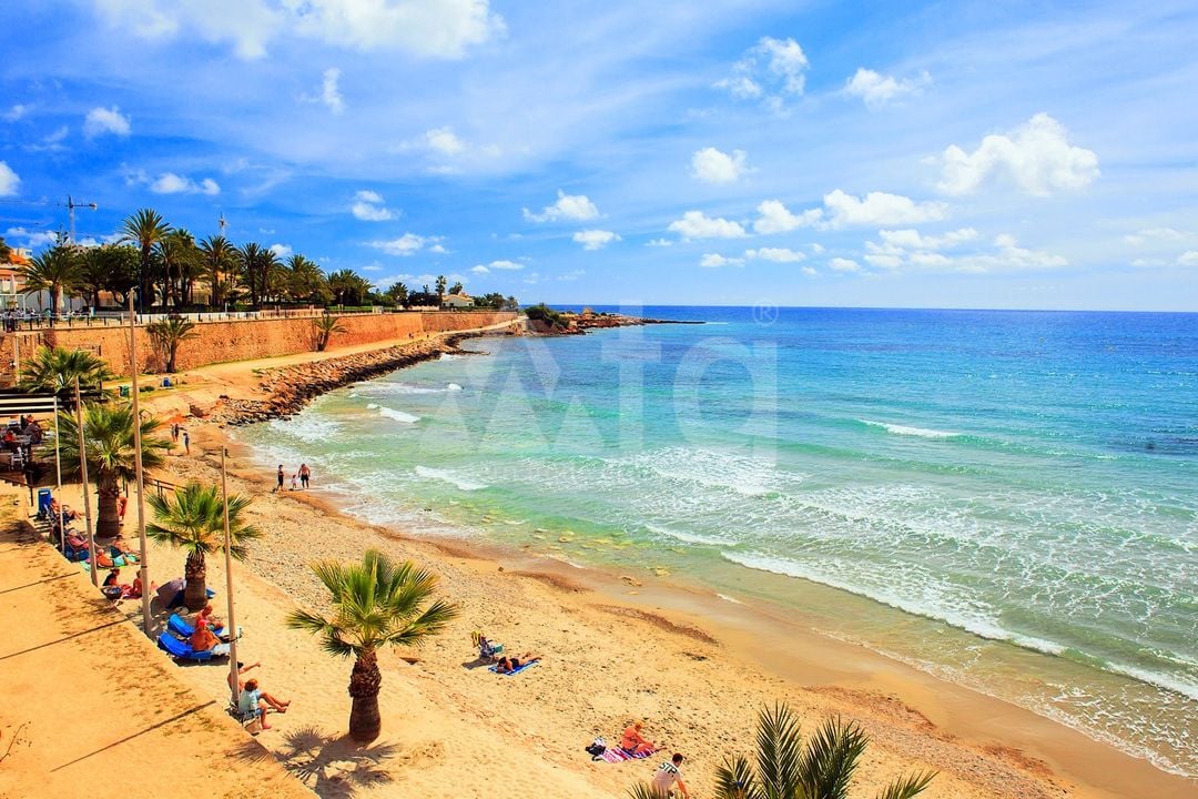 Vilă cu 3 dormitoare în Torrevieja - CBC33534 - Imagini - 9