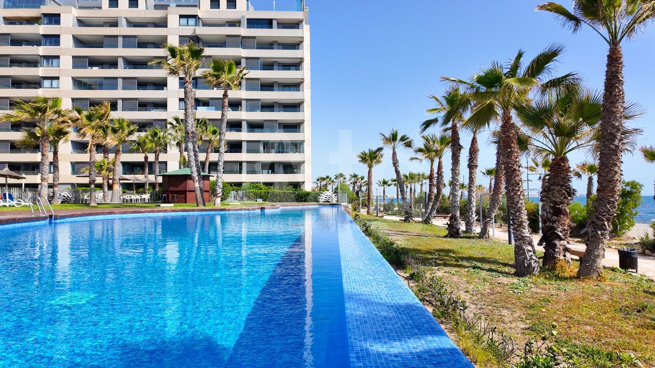 2 bedroom Apartment in Torrevieja - ET134545 - Photo - 2