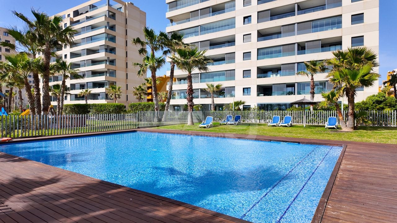 2 bedroom Apartment in Torrevieja - ET134545 - Photo - 35