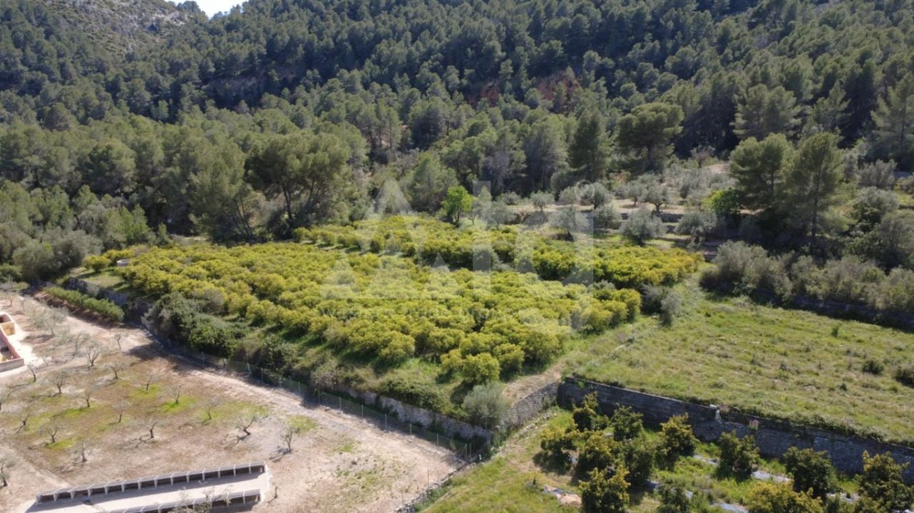 Pozemek   v Orba, - PGP134583 - Foto - 2