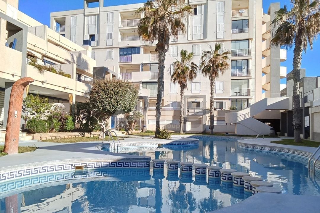 2 bedroom Penthouse in Torrevieja - SV134591 - Photo - 25
