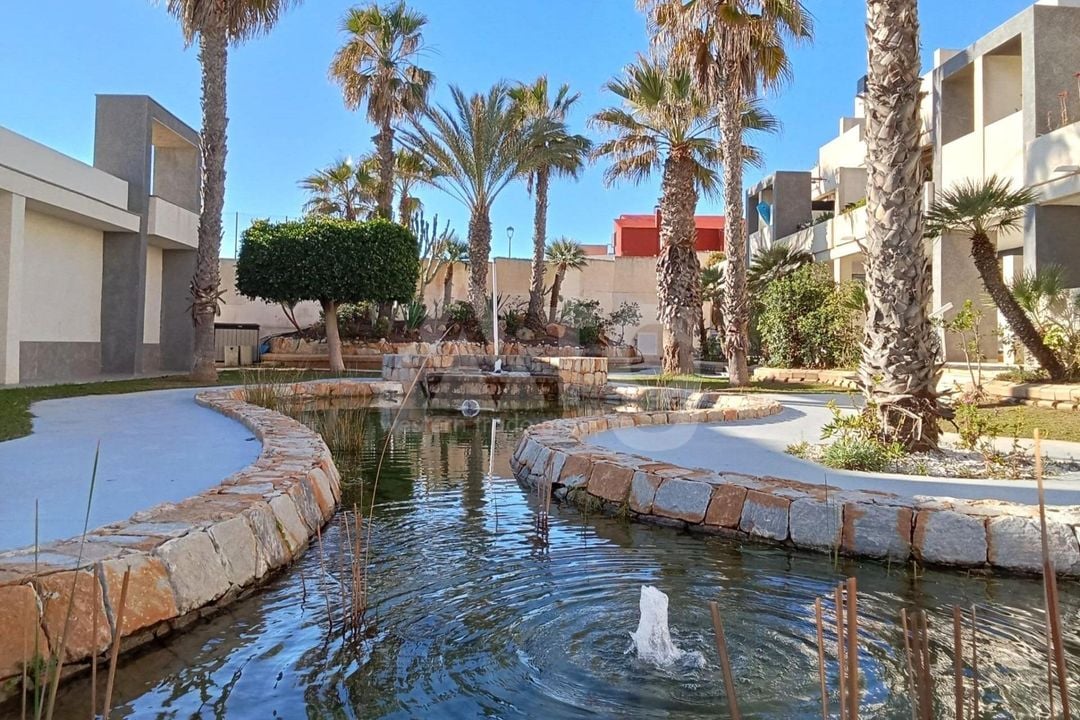 2 bedroom Penthouse in Torrevieja - SV134591 - Photo - 27
