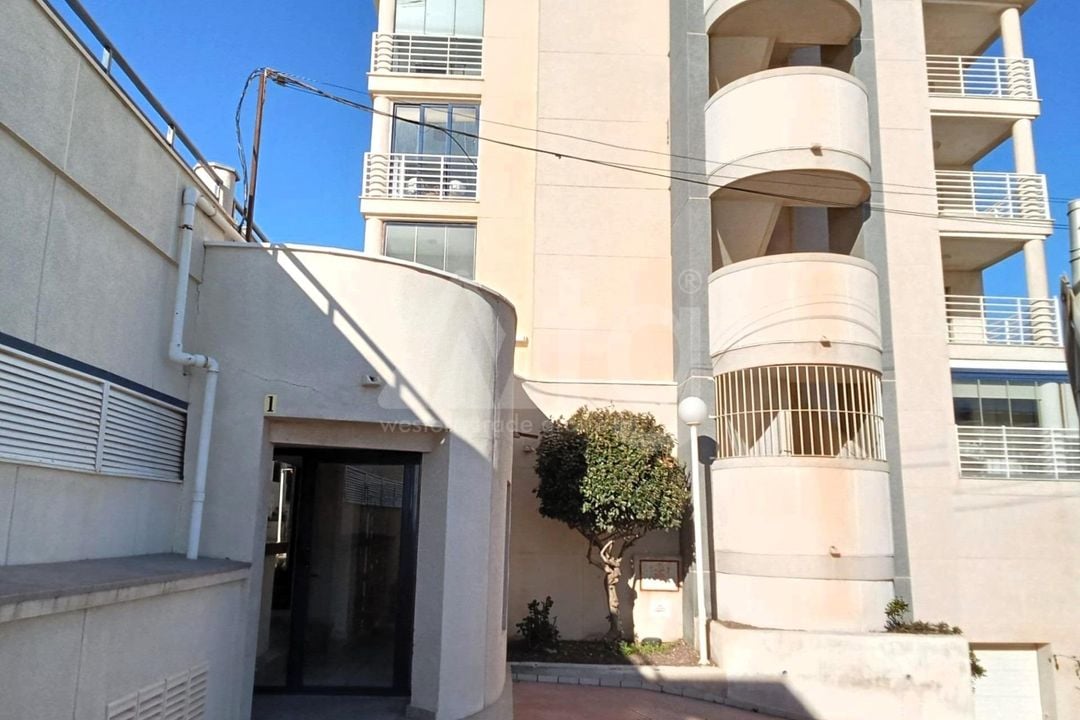 2 bedroom Penthouse in Torrevieja - SV134591 - Photo - 20