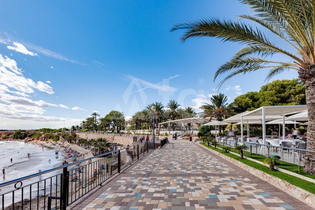 2 bedroom Townhouse in Torrevieja - CYM146980 - Photo - 37