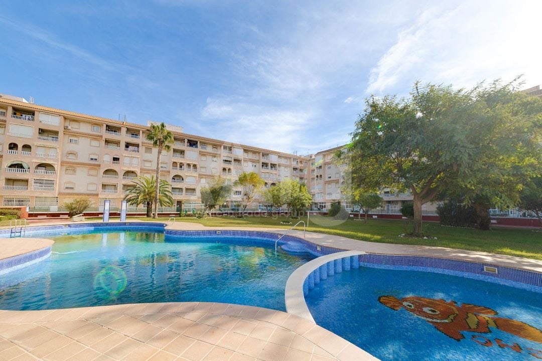 2 bedroom Penthouse in Torrevieja - HRE134636 - Photo - 1