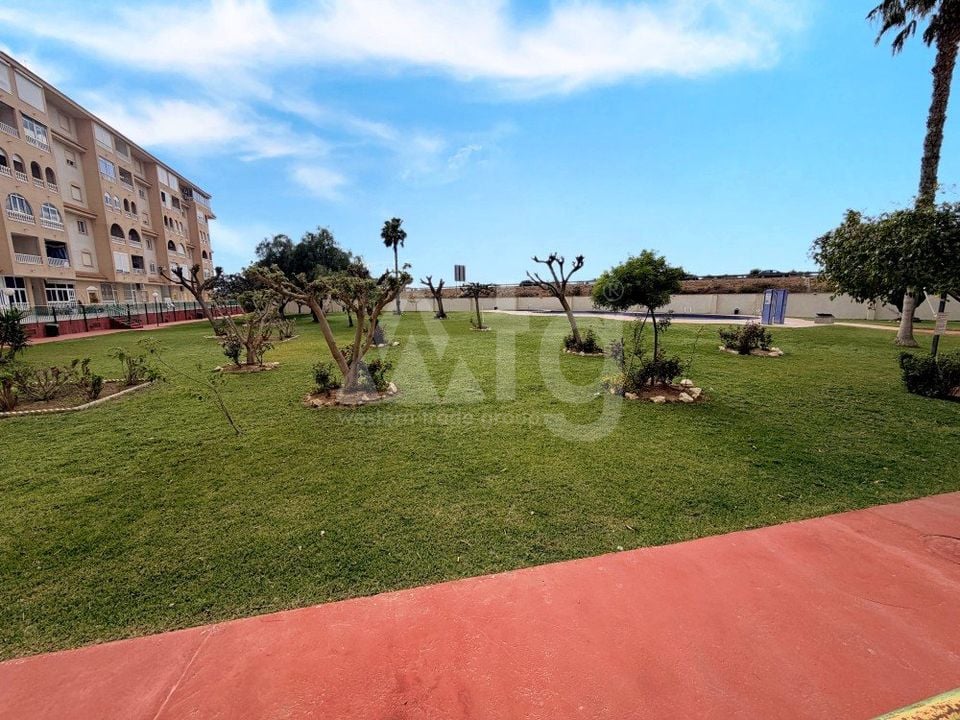 2 bedroom Penthouse in Torrevieja - CSH134724 - Photo - 19