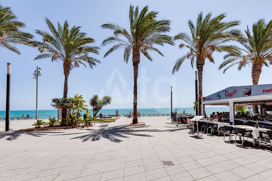 2 bedroom Apartment in Torrevieja - PPS134852 - Photo - 18