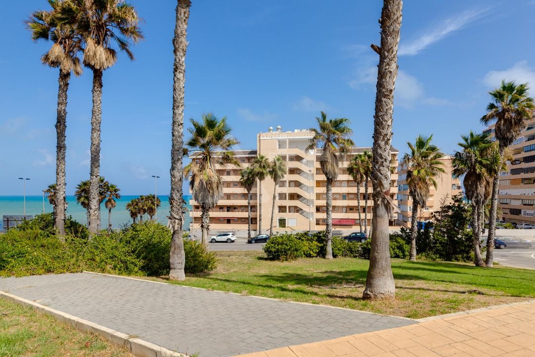 2 bedroom Apartment in Torrevieja - PPS134853 - Photo - 26