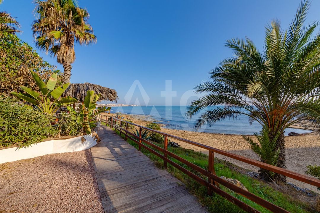 2 bedroom Apartment in Torrevieja - PPS134853 - Photo - 25